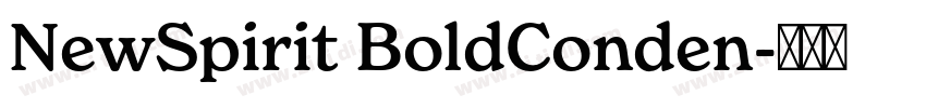 NewSpirit BoldConden字体转换